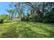 Large backyard with lush grass and mature trees at 142 Seton Trl, Ormond Beach, FL 32176