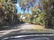 Scenic view of a tree-lined street with lush tropical foliage along the roadside, offering a peaceful environment at 3142 Silvermines Ave, Ormond Beach, FL 32174
