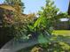 Landscaped backyard with lush tropical plants and wooden fence at 41 Laurel Oaks Cir, Ormond Beach, FL 32174