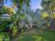 Lush backyard with tropical plants and a large fan palm at 41 Laurel Oaks Cir, Ormond Beach, FL 32174