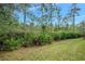 Green backyard with trees and native landscaping in a serene setting at 820 Aldenham Ln, Ormond Beach, FL 32174