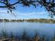 Picturesque view of a tranquil lake, with native grasses in the foreground and distant trees at 66 Old Sunbeam Dr, South Daytona, FL 32119