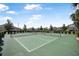 A well-maintained tennis court with green surface and neat white lines under a blue sky at 3257 Bailey Ann Dr, Ormond Beach, FL 32174