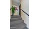 Carpeted stairway leading to an upper level, adorned with decorative plants and unique wall art at 1415 Ocean Shore Blvd # L1, Ormond Beach, FL 32176