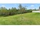 Large, grassy backyard with a tree on a small incline, providing a natural setting at 806 Armenia Ct, New Smyrna Beach, FL 32168