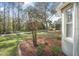 Landscaped backyard with mature trees and manicured beds alongside a walking path that meanders into the trees at 1143 Champions Dr, Daytona Beach, FL 32124