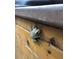 Close up of frog on a wooden fence at 290 Birch Ave, Orange City, FL 32763