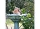 Hawk taking a bath in a birdbath. Enjoy a variety of birds and animals at your home at 290 Birch Ave, Orange City, FL 32763