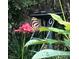 Zebra longwing butterfly drinking nectar from bright red flowers at 290 Birch Ave, Orange City, FL 32763