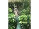 An owl perches on a bird bath surrounded by lush landscaping at 290 Birch Ave, Orange City, FL 32763