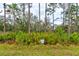 Lush, natural landscaping creates a private, serene setting around the property at 1068 Sea Shell Ct, Daytona Beach, FL 32124