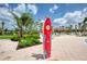 Outdoor shower shaped like a surfboard near the pool with palm trees and lounge chairs in the background at 1068 Sea Shell Ct, Daytona Beach, FL 32124