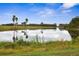 Scenic view of the pond with palm trees and natural landscaping at 5 Captiva At Lionspaw, Daytona Beach, FL 32124