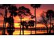 Gorgeous sunset over a lake framed by silhouetted trees and palm trees, reflecting orange and yellow hues at 11 Briggs Dr, Ormond Beach, FL 32176