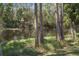 Backyard view of the tranquil waterway surrounded by natural trees and vegetation at 1432 Kinnard Cir, Ormond Beach, FL 32174