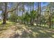 Scenic waterfront view with mature trees and lush greenery at 1432 Kinnard Cir, Ormond Beach, FL 32174