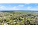 Scenic aerial view showcasing the property nestled within a verdant landscape of trees at 2337 Legacy Ln, New Smyrna Beach, FL 32168