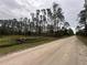 A serene view of a dirt road winding through a property dotted with mature trees at 2119 East Pkwy, Deland, FL 32724