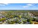 Aerial view of the community showcasing lakes and trees at 6123 Jasmine Vine Dr, Port Orange, FL 32128