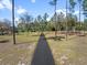 View of the long private driveway showing mature trees and lush grassy areas at 22527 Lake Seneca Rd, Eustis, FL 32736