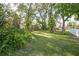 Spacious backyard with mature trees and lush grass at 322 Garden St, Daytona Beach, FL 32114