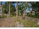 Backyard showing mature trees, landscaping, and a view of the home's exterior at 59 Amsden Rd, Ormond Beach, FL 32176