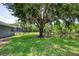 Expansive backyard featuring mature trees, lush green grass, and a fenced-in border at 6172 Knotty Pine Ct, Port Orange, FL 32127
