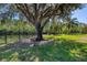Expansive backyard featuring a large tree, pond views, and lush green grass at 6172 Knotty Pine Ct, Port Orange, FL 32127