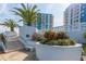 Landscaped courtyard with palm trees and white walls, offering a tranquil outdoor space at 925 N Halifax Ave # 1105, Daytona Beach, FL 32118