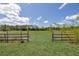 Expansive grassy backyard, fenced with an open gate, offering privacy and ample space at 1060 Still Rd, Pierson, FL 32180