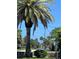 Close up view of a tall palm tree with a waterfront view showcases the tropical environment at 48 Rosewood Ave, Ormond Beach, FL 32174