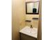 Bathroom featuring a neutral paint, mirror, sink, and black metal shelves at 212 Rue De Pont, Tavares, FL 32778