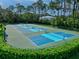 Pickleball courts in a wooded area offer plenty of room to exercise and meet fellow residents in the community at 27 Winding Creek Way, Ormond Beach, FL 32174