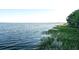 Lush backyard features tranquil lake views, offering a serene escape in a beautiful waterfront setting at 3130 Indian Trl, Eustis, FL 32726