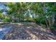 A wide, tree-lined backyard creates a serene and private outdoor space at 330 Wall Ave, Ormond Beach, FL 32174