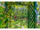 Lush backyard featuring a charming trellis with flowering vines and a view of the surrounding trees at 5635 Estero Loop, Port Orange, FL 32128