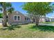 Exterior view of home showing side yard and well-maintained lawn with a mature shade tree at 394 Golf Blvd, Daytona Beach, FL 32118