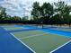 Outdoor pickleball courts with green and blue surfaces, offering a fun recreational activity at 745 Aldenham Ln, Ormond Beach, FL 32174
