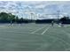 Outdoor tennis courts with green surfaces, providing a great space for athletic activities at 745 Aldenham Ln, Ormond Beach, FL 32174