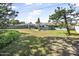 Spacious backyard showcasing a well-maintained lawn and partial view of the home's exterior at 44 Sandra Dr, Ormond Beach, FL 32176