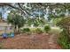 Backyard fire pit and lounge area with mature landscaping and a rope swing at 440 Champagne Cir, Port Orange, FL 32127
