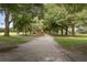 Scenic walking path lined with mature trees and lush greenery on either side at 3513 Kilgallen Ct, Ormond Beach, FL 32174