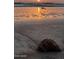 Golden hour beach scene with the sun setting over the ocean, reflecting off the wet sand at 3000 Ocean Shore Blvd # 150, Ormond Beach, FL 32176