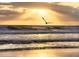 A bird takes flight over the beach and ocean with the sun streaming through the clouds at 1504 N Atlantic Ave, Daytona Beach, FL 32118