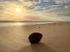A quiet beach scene with a single rock on the sand as the sun sets in the background at 1504 N Atlantic Ave, Daytona Beach, FL 32118
