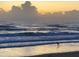 A bird walks along the shoreline of the beach with waves and clouds in the background at 1504 N Atlantic Ave, Daytona Beach, FL 32118