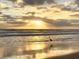 A view of a bird walking in the surf at the beach with golden sunlight and clouds at 1504 N Atlantic Ave, Daytona Beach, FL 32118
