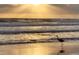 A bird walks along the beach with waves and sunshine filtering through the clouds at sunset at 1504 N Atlantic Ave, Daytona Beach, FL 32118