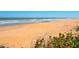 Serene beach view with golden sands, gentle waves, and lush greenery along the shoreline at 1504 N Atlantic Ave, Daytona Beach, FL 32118