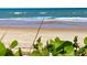 Close up shows the water with plants in the foreground and a bird walking on the beach at 1504 N Atlantic Ave, Daytona Beach, FL 32118